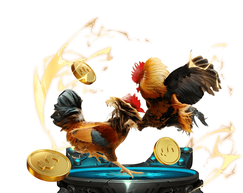 Đá gà Trực tuyến Twin68